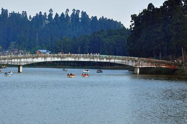 kashmir