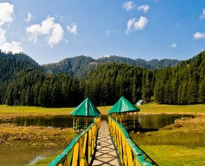 kashmir