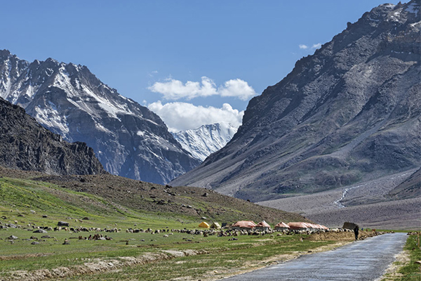 kashmir