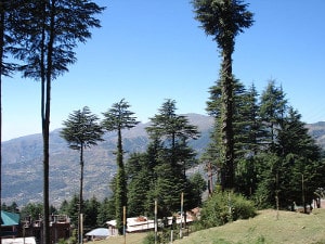 kashmir